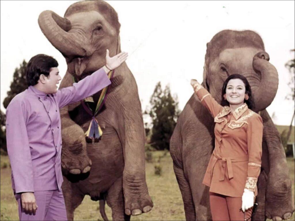 Слоны — мои друзья (1971)